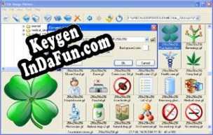 Free key for Sib Image Viewer