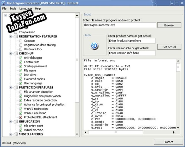 Registration key for the program The Enigma Protector x64