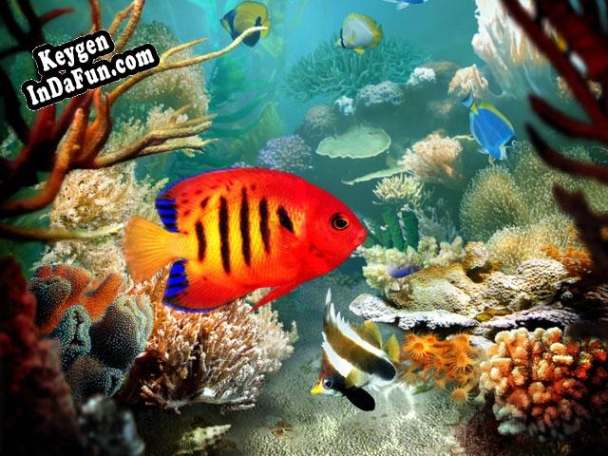 Key generator (keygen) Tropical Fish 3D Screensaver