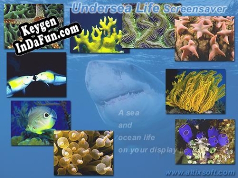 Key generator (keygen) Undersea Life Screensaver