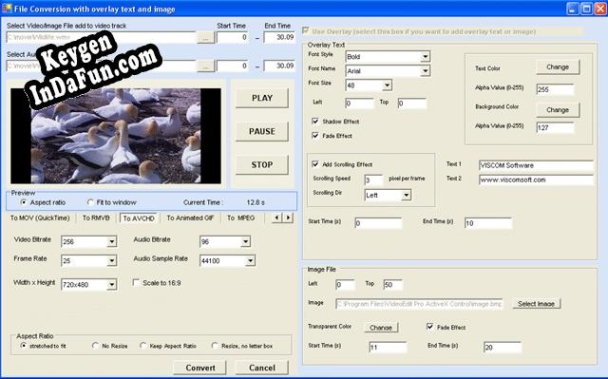 VISCOM Video Edit Pro ActiveX SDK key free