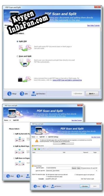 Wise PDF Scan and Split activation key