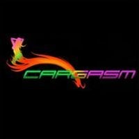 Cargasm: Cheats, Trainer +11 [dR.oLLe]