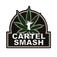 Cartel Smash: Trainer +7 [v1.2]