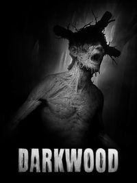 Darkwood: Trainer +13 [v1.7]