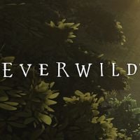 Trainer for Everwild [v1.0.6]