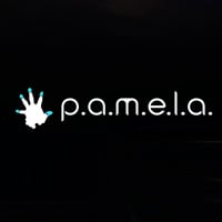 P.A.M.E.L.A.: Trainer +5 [v1.2]