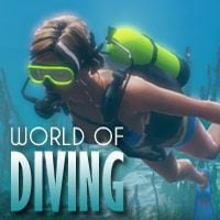 Trainer for World of Diving [v1.0.6]